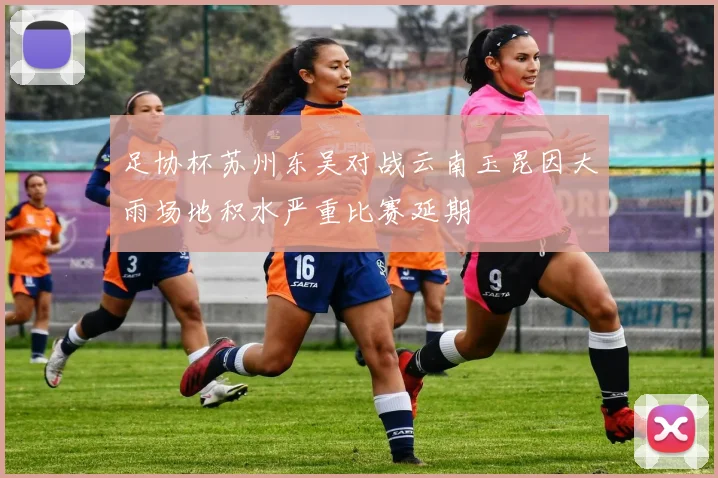足协杯苏州东吴对战云南玉昆因大雨场地积水严重比赛延期